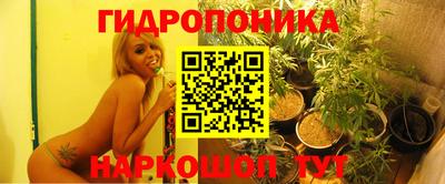 дурь Каменск-Шахтинский