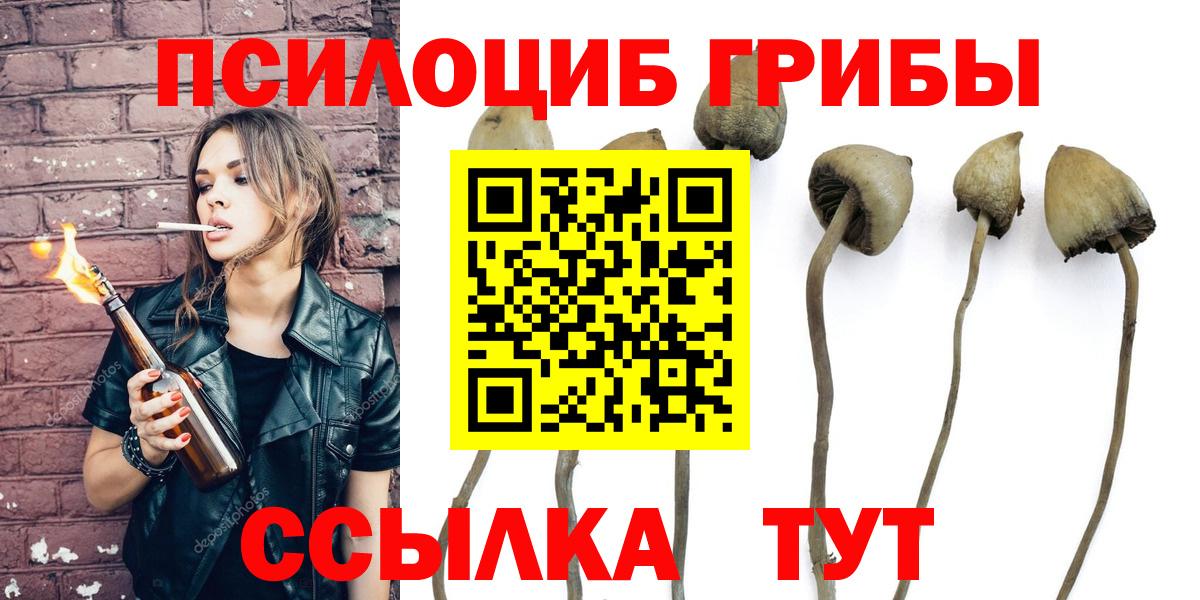 Лыткарино  Галлюциногенные грибы Psilocybe  Вход с VPN 