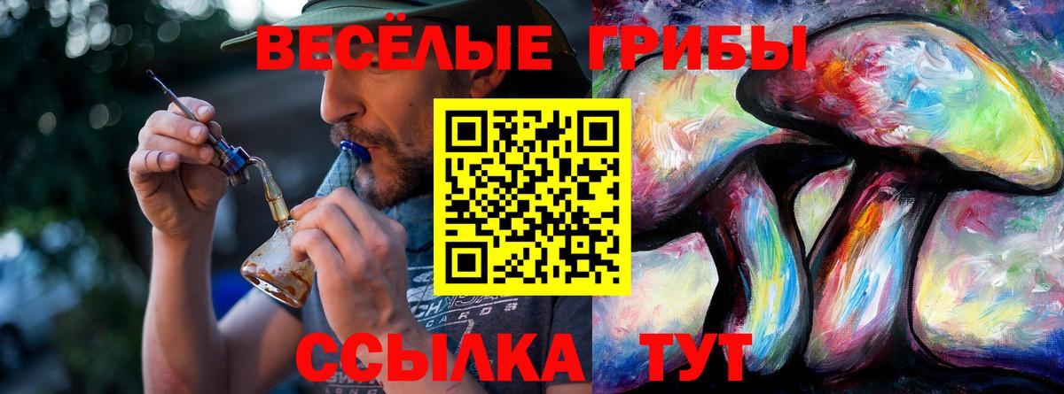 Галлюциногенные грибы Psilocybe Лыткарино
